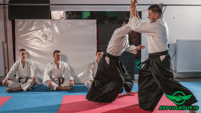 Alasan Kenapa Bela Diri Aikido Dilarang di MMA