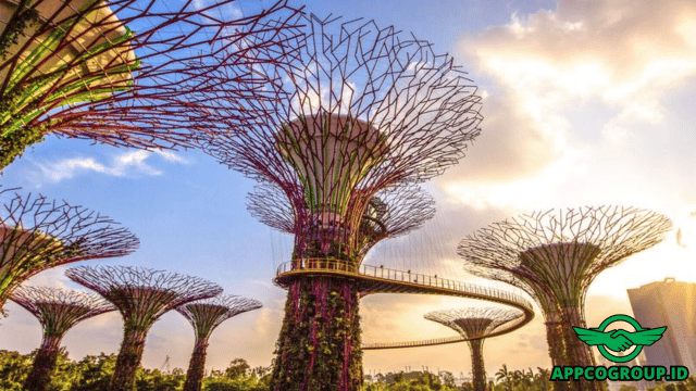 Musim Kemarau Jadi Waktu Terbaik ke Singapura