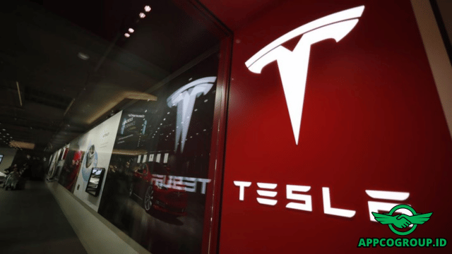 Tesla Ambruk Mau Di tendang Raja Baru dari China